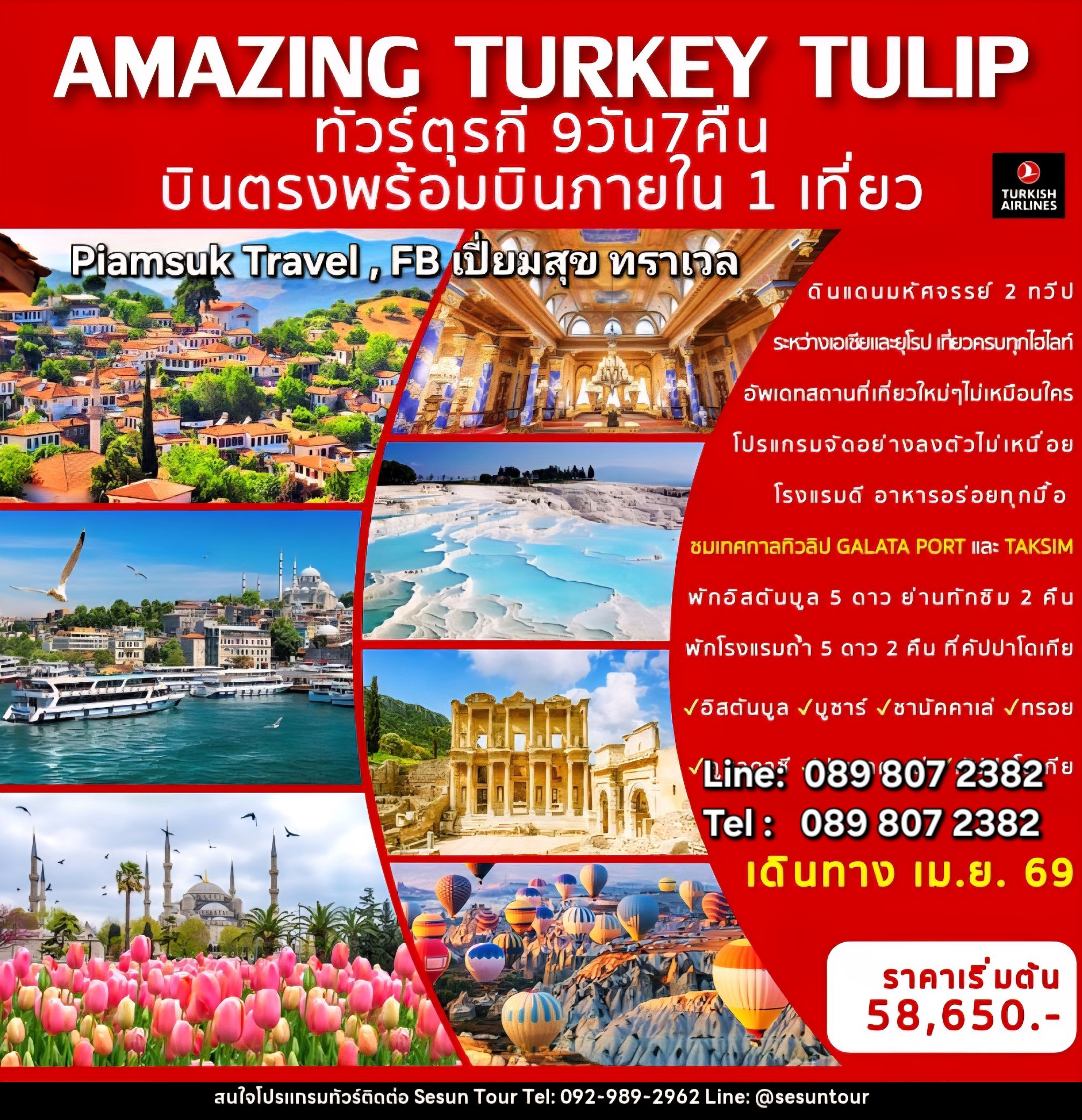 Amazing Turkey Tulip